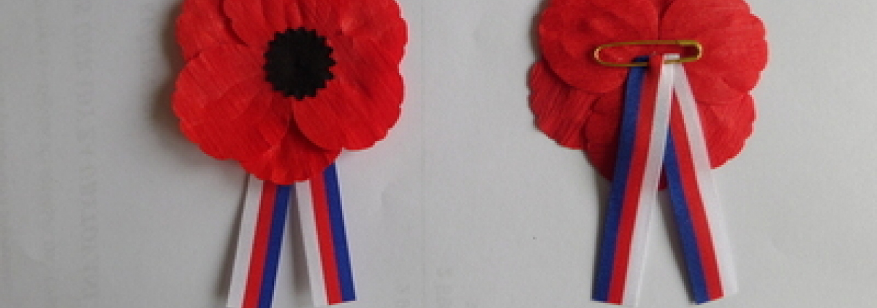 Vlčí mák – symbol Dne válečných veteránů Autor: Vlčí mák – symbol Dne válečných veteránů Autor: