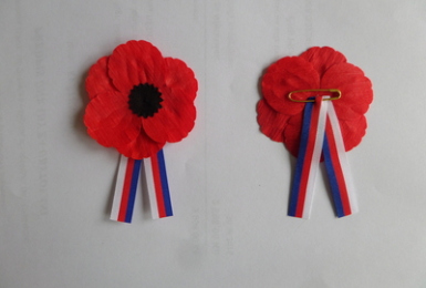 Vlčí mák – symbol Dne válečných veteránů Autor: