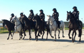 Ukázka jízdní jednotky policie.