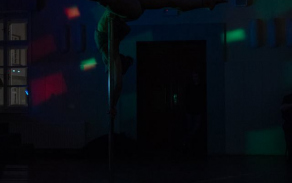Vystoupení pole dance v podání tanečního studia Apokalips Olomouc.