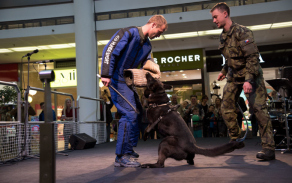 Momentka z posledního ročníku: Army den 2018.