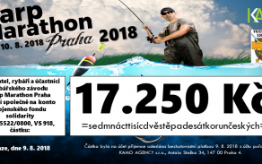 Oficiální šek s vybranou celkovou částkou. Děkujeme!